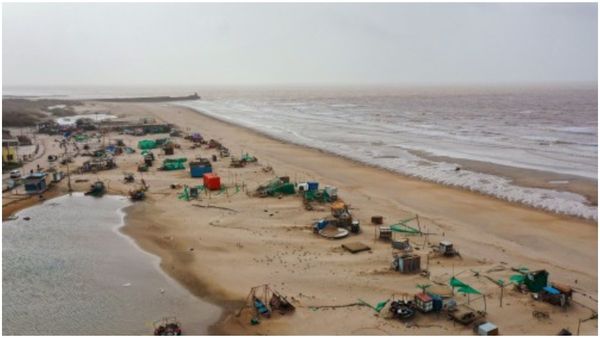 Cyclone Midhili: অকাল বর্ষণে চাষের বিপুল ক্ষতির আশঙ্কা, ফের দাম বাড়বে সবজির
