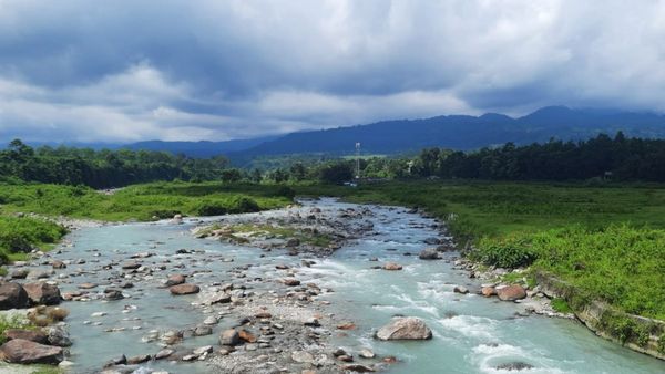 Travel: জঙ্গলের মাঝে গাছবাড়িতে নিশিযাপন, হাতিদের সঙ্গে কাটিয়ে যান কটাদিন, কলকাতার কাছেই রয়েছে সেই জায়গা