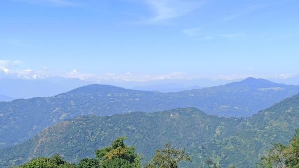 Travel: উত্তরবঙ্গের উটি, চলে আসুন লাভার কাছে এই অফবিট ডেস্টিনেশনে