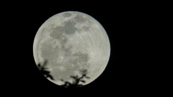 Kartik Purnima 2023: বিষ্ণু ও দেবী লক্ষ্মীর আশীর্বাদ পেতে কার্তিক পূর্ণিমার দিন মানুন এই টিপসগুলি