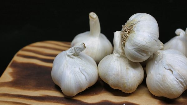 Garlic Benefits: শীতকালে সর্দি-কাশি, ফ্লু থেকে মুক্তি পেতে এক কোয়া রসুনই যথেষ্ট!