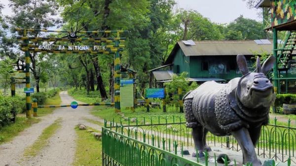 Travel: মোষের গাড়িতে জঙ্গল সাফারি করেছেন কখনও, চলে আসুন ডুয়ার্সের এই জঙ্গলে