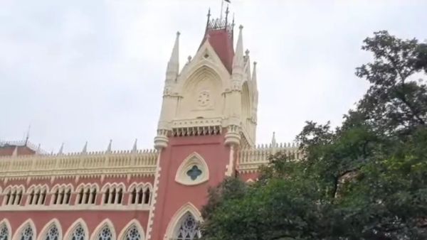 ময়দানে এখন কোনও গাছ কাটা যাবে না, বহাল হাইকোর্টের অন্তর্বর্তী স্থগিতাদেশ