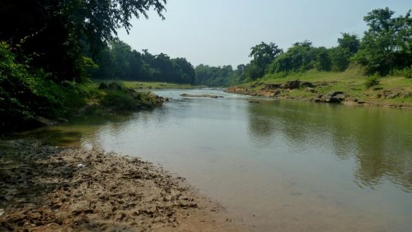 Travel: শীতের আমেজ গায়ে মেখে ঘুরে আসুন ঝাড়গ্রামের এই অচেনা জঙ্গলে, কান পাতলে শুনতে পাবেন হাতির ডাক
