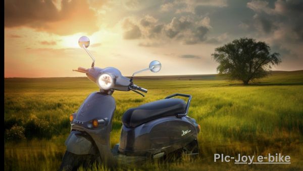 Cheapest E-Scooter: ৮১ কেজি ওজন, ১০০ ওয়াটের হাই-পাওয়ার মোটর! Joy এর e-bike Wolf কিনুন ৮০ হাজারেরও কমে