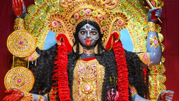 Kali Puja 2023: পুরোহিত দক্ষিণা নিলে পুজো সম্পন্ন হয় না, কলকাতার কাছেই ঘুরে আসুন সেই কালীমন্দির থেকে