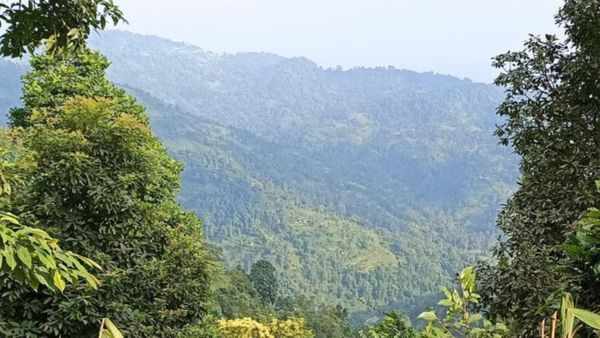 Travel: ঘনজঙ্গলের মধ্যে বনবাংলোয় থাকার অভিজ্ঞতা পেতে চান, চলে আসুন এই পাহাড়ি জঙ্গলে