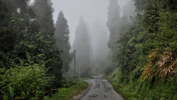 Travel: ব্যাকগ্রাউন্ডে ঝকঝকে কাঞ্চনজঙ্ঘা, কটাদিন কাটিয়ে আসুন লামাহাট্টার এই ছোট্ট গ্রামে