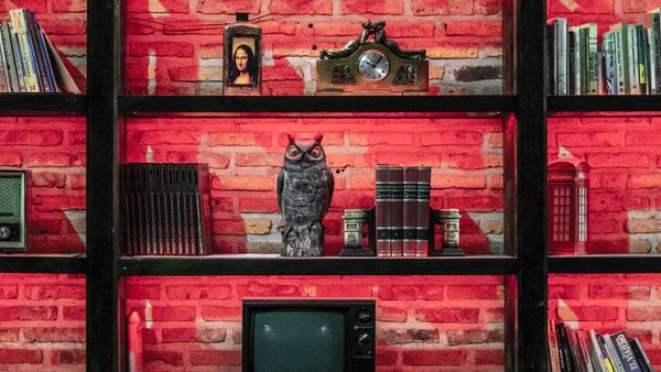 Vastu Tips: বাড়িতে বা অফিসে পেঁচার মূর্তি রাখা কি শুভ, কী বলছে বাস্তুশাস্ত্র