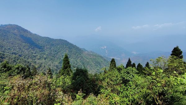 Travel: রাস্তায় ঘুরে বেড়ায় হরিণ-ময়ুর, নেপালি স্টাইলে রাঁধা মটন কষার স্বাদ নিতে চলে আসুন পাহাড়ের এই গ্রামে