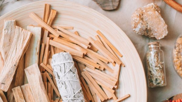 Benefits Of Sandalwood For Skin: ত্বকের জন্য কতটা উপকারী চন্দন, মাখবেন নাকি আপনি?