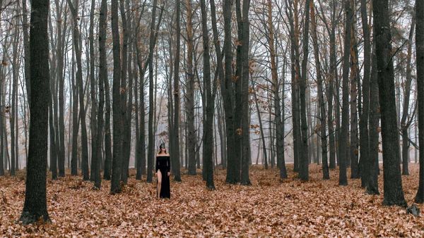 Business Idea: সত্যিই টাকার গাছ, ঝাড়লেই লাখ লাখ টাকা! এই ব্যবসা চমকে দেওয়ার মতো