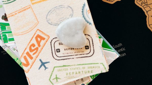 দুটি দেশ থেকে ভিসা ছাড়াই ভারতে প্রবেশের সুবিধা! ভারত থেকে যেসব দেশে ভিসা ছাড়া প্রবেশের সুবিধা, একনজরে