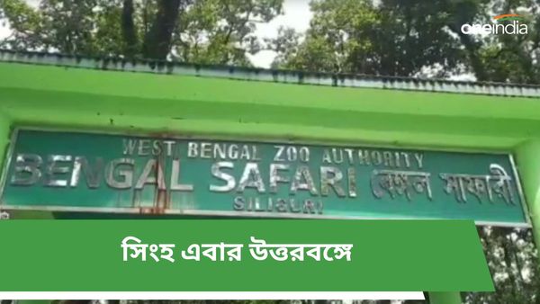 Siliguri: শিলিগুড়িতে এবার জঙ্গলের রাজা, বেঙ্গল সাফারি পার্কে সিংহ আসছে জানুয়ারি মাসে