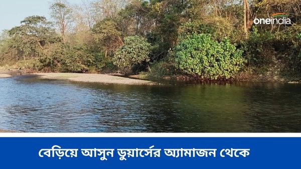 Travel: জলপথে জঙ্গল সাফারি, শীতের ছুটিতে ঘুরে আসুন ডুয়ার্সের অ্যামাজন থেকে