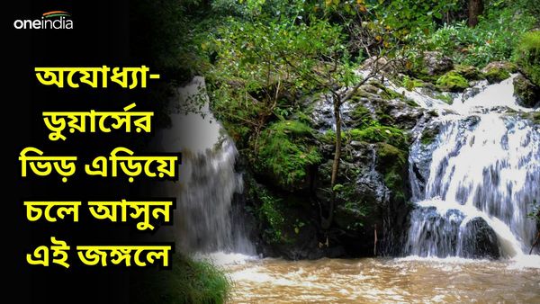  Travel: ডুয়ার্স-অযোধ্যা ভিড়ে ঠাসা, চলে আসুন কলকাতার কাছে অফবিট এই জঙ্গলে