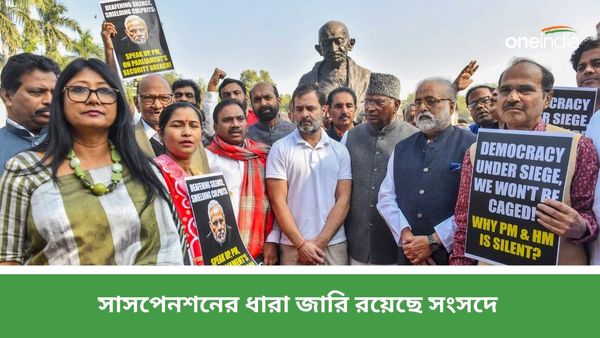 Parliament Winter Session 2023: বাইরে প্ল্যাকার্ড হাতে বিক্ষোভ অধীর-সৌগতদের, ভেতরে সাসপেন্ড আরও ৪৯ সাংসদ
