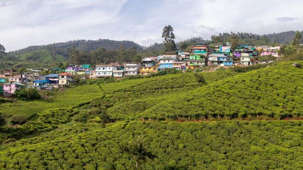 Travel: রাস্তার দুই পাশে দুই দেশ, ঘুরে আসুন উত্তরবঙ্গের এমনই অচেনা একটা জায়গায়