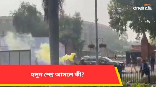 Parliament Security Breach: ২২ বছর আগের স্মৃতি ফিরল লোকসভায়! হলুদ স্প্রে আসলে কী?