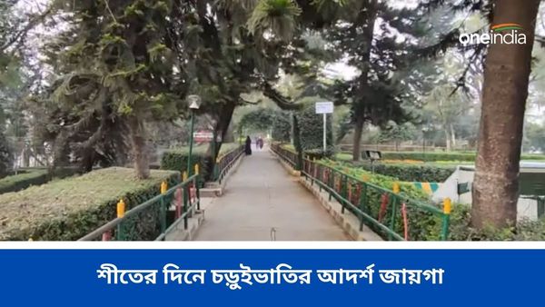 Travel: হুগলিতেই নিউ দিঘা, শীতের দিনে চড়ুইভাতির আদর্শ জায়গা