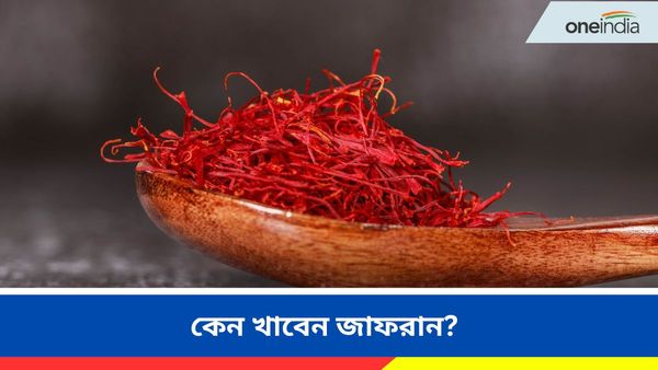 Health Tips: শীতকালে সর্দি-কাশির সমস্যায় ভুগছেন, মুক্তি মিলবে জাফরানেই, কিন্তু কীভাবে খাবেন