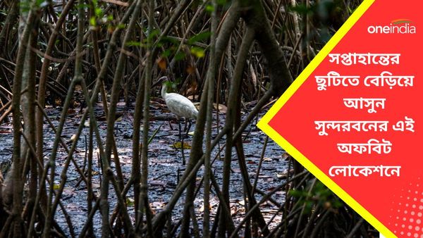 Travel: শীতের বেলায় সুন্দরবনে অ্যাডভেঞ্চার, দক্ষিণরায়ের দর্শন পেতে ঘুরে আসুন ভুবনেশ্বরী