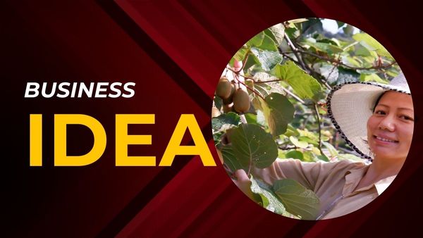 Business Idea: কিউয়ি চাষে ৮-৯ লাখ টাকা রোজগার! আরও বিস্তারিত তথ্য অবাক করবেই