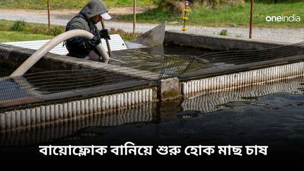 বাড়ির ছাদে কিংবা মাঠে! বায়োফ্লোক বানিয়ে শুরু হোক মাছ চাষ, লাখে রোজগার পাকা