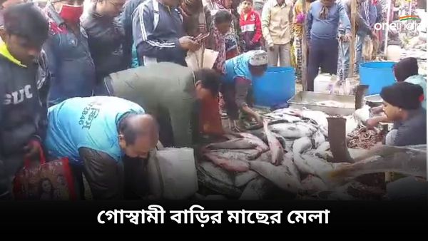 ইলিশ-ভেটকি-পুঁটি-কাঁকড়া, ৫০০ বছরের বেশি পুরাতন গোস্বামী বাড়ির মাছের মেলা