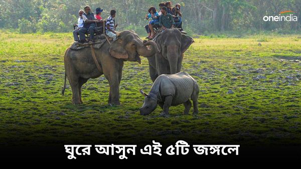 জঙ্গলসাফারির অ্যাডভেঞ্চারে যেতে চান, ঘুরে আসুন এই ৫টি জঙ্গলে