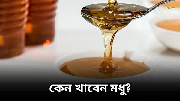 Honey Benefits: এই মরসুমে নীরোগ থাকতে চাইছেন, ভরসা রাখতেই পারেন এক চামচ মধুর ওপর!