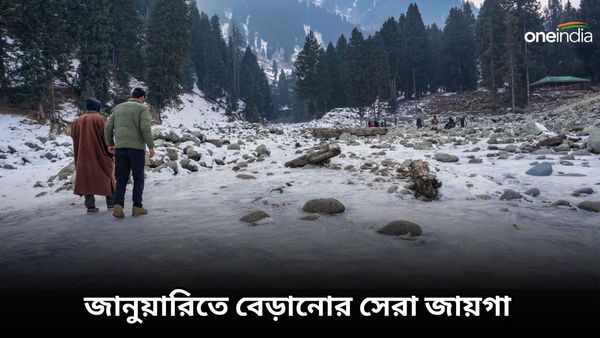 Travel: শীতের হিমেল পরশ গায়ে মেখে কোথায় বেড়াবেন, জানুয়ারির সেরা ডেস্টিনেশন হতে পারে এগুলি