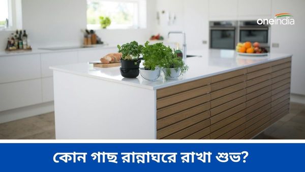 আর্থিক দিকে উন্নতি করতে আজই রান্নাঘরে রাখুন এই গাছগুলি