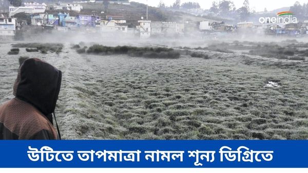 কাশ্মীরে বরফ নেই, উটিতে তাপমাত্রা নামল শূন্য ডিগ্রিতে, কাঁপছেন পর্যটকরা