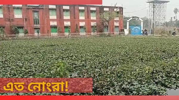 ভাগাড়ের মাঝেই চলছে স্কুল, সাপের ভয় নিয়েই ক্লাস করছেন হাজারের বেশি পড়ুয়া