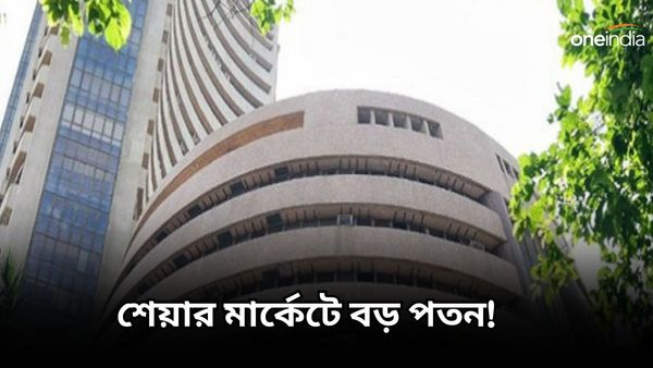 Stock Market Crash: শেয়ার মার্কেটে বড় পতন! বাজারের অবস্থা কেন এমন হল?