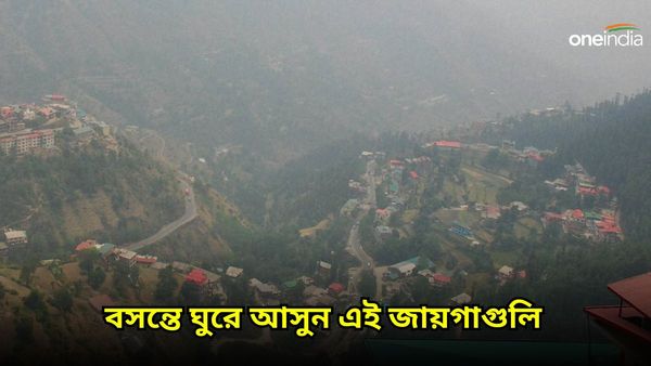 Travel: এক কথায় প্যারাডাইস, বসন্তে এই জায়গাগুলি না ঘুরলে আফসোস করবেন সারাজীবন