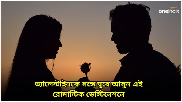 Travel: সামনেই ভ্যালেন্টাইনস ডে, সঙ্গীকে নিয়ে ঘুরে আসুন এই রোমান্টিক ক্রুজে