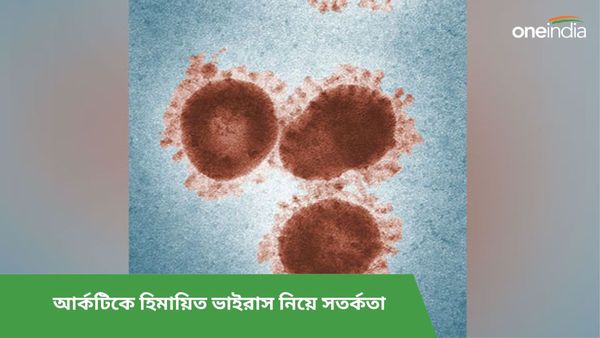 আর্কটিকে হিমায়িত অবস্থায় কাটিয়েছে ৪৮৫০০ বছর! ভাইরাসের বিপর্যয়কারী গুণ নিয়ে সতর্ক করলেন বিজ্ঞানীরা