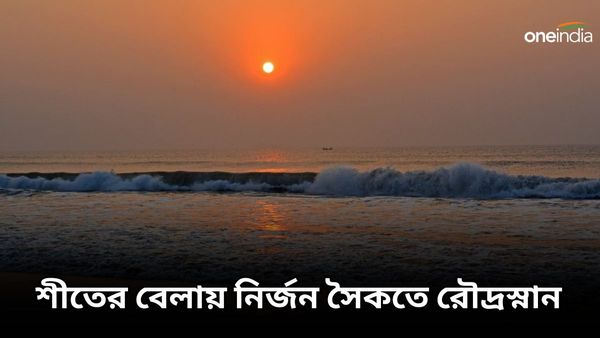 শীতের বেলায় সোনালি বালুকাবেলায় অবসর যাপন, ঘুরে আসুন কলকাতার কাছে এই নির্জন সৈকতে