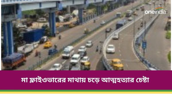 'কেন্দ্রীয় প্রকল্পের টাকা পাচ্ছি না', মা উড়ালপুলের মাথায় চড়ে আত্মহত্যার হুমকি যুবকের