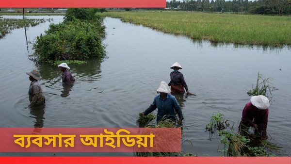 Business Idea: জীবনের মোড় ঘুরিতে দিতে পারে এই তিন ব্যবসা! করা যাবে গ্রামে থেকেও