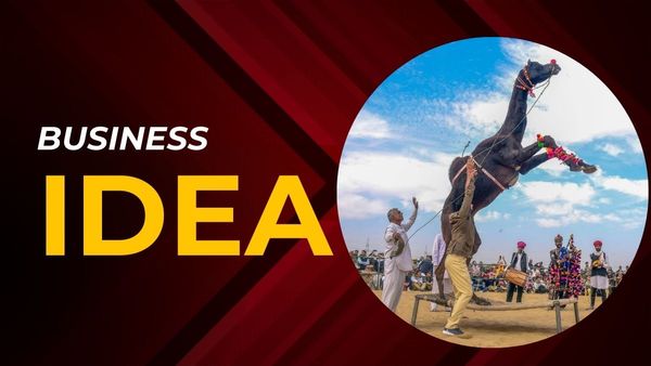 Business Idea: গাধা, খচ্চর কিংবা উট পালনে টাকা দেবে সরকার! ১০ কোটি লোন, ৫০ লাখ ভর্তুকি