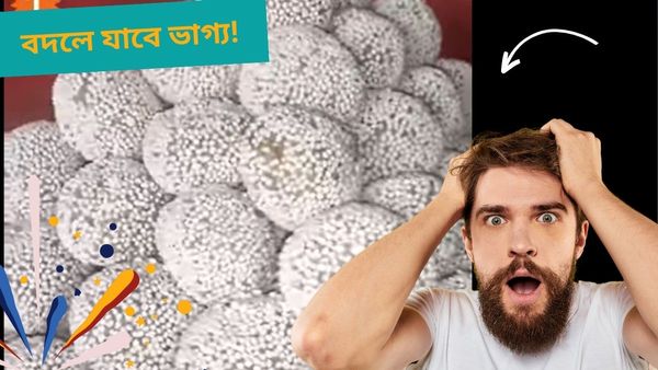 Business Idea: চাহিদা রয়েছে বিদেশের মাটিতেও! এই ব্যবসা ঘুরিয়ে দেবে ভাগ্যের চাকা