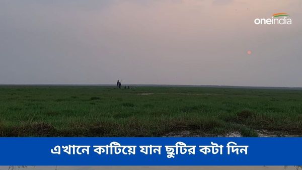 Travel: ডুয়ার্স নয় জঙ্গলের প্রশান্তিতে কিছু দিন কাটাতে চলে আসুন কলকাতার কাছেই এই অচেনা অভয়ারণ্যে