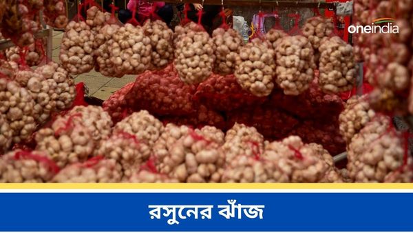 Garlic Price: কাজুর দামে বিকোচ্ছে রসুন! আকাশছোঁয়া দামে হাত পুড়ছে আমজনতার