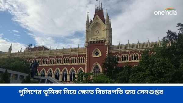পুলিশ ও সিআইডির ভূমিকা নিয়ে প্রশ্ন, নাবালিকা নিখোঁজ মামলায় সিবিআই তদন্তের নির্দেশ কলকাতা হাইকোর্টের