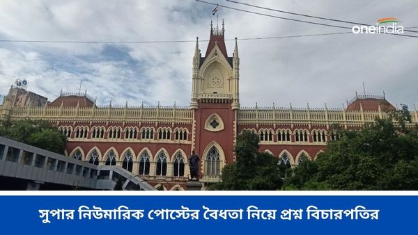 Calcutta High Court: সুপার নিউমেরিক পোস্টের অস্তিত্ব নিয়ে প্রশ্ন তুললেন বিচারপতি, কমিশনের কাছে ব্যাখ্যা তলব