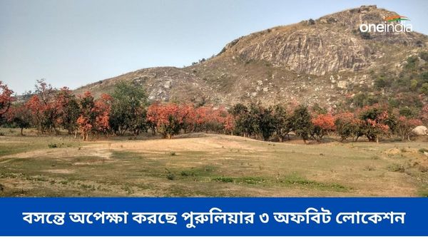 Travel: সপ্তাহান্তের ছুটিতে পুরুলিয়া বেড়ানোর প্ল্যানিং! ঘুরে আসুন অফবিট এই তিন লোকেশনে