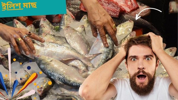 Ilish Fish: সরস্বতী পুজোয় জোড়া ইলিশ খাবেন? জানেন দাম কত? চমকে যাবেন না কিন্তু